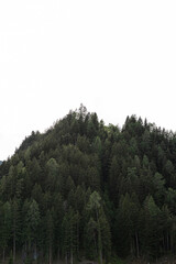 Scenic view of mountain forest, sky with clouds. Landscape