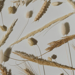 Dried rabbit tail grass, wheat, rye ears, pampas grass stems pattern with sunlight shadows on warm...