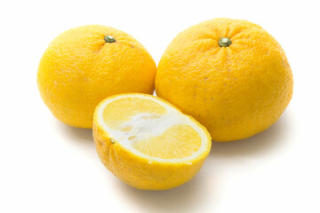 オレンジ　白バック