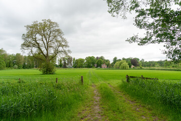 Fields of Landgoed Dorth an estate near Kring van Dorth (The Netherlands)