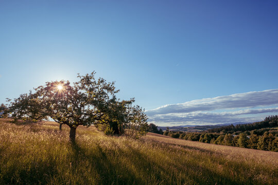 Herbsttraum