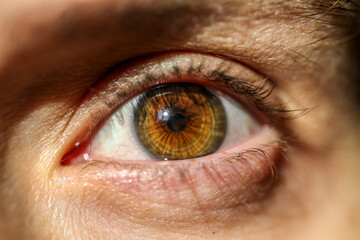 women hazel eye close up macro stock photo