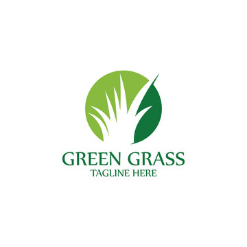 natural grass logo design template