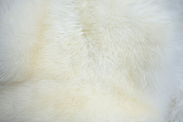 The fur surface is white-yellow, soft.