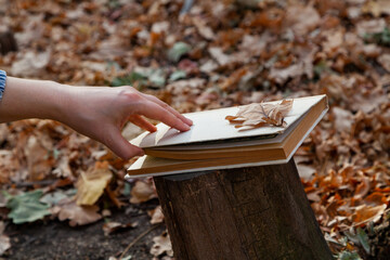 Hand opens book on tree stump in autumn forest..
