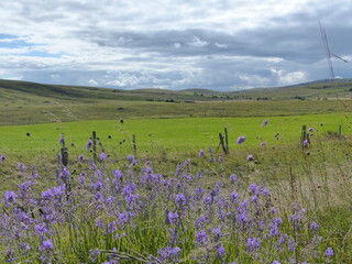 Causse du M&eacute;jean