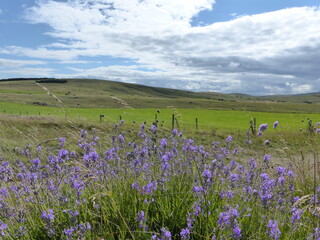 Causse du M&eacute;jean