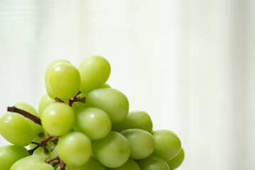 新鮮なシャインマスカット