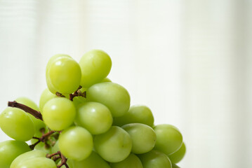 新鮮なシャインマスカット