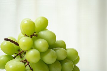 新鮮なシャインマスカット