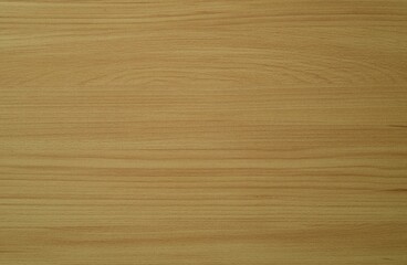 Image of white oak background, texture.