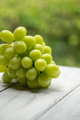 新鮮なシャインマスカット