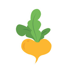 Turnip, Icon on white background. Vegetable whole. Root with tops. Vector flat illustration.