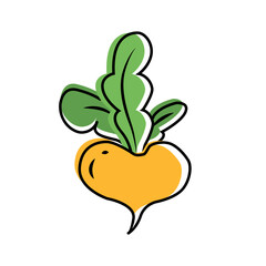 Turnip icon in flat style isolated on white background. Isolated object, logo. Vegetable from the farm. Organic food. Turnip contour. Vector illustration.