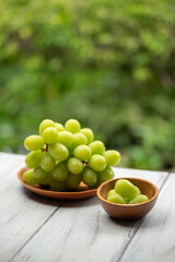 新鮮なマスカット
