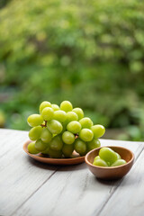 新鮮なマスカット
