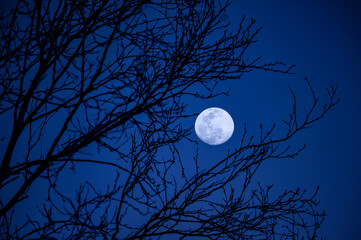 Full moon during the blue hour.