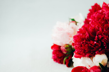 Pink and red Peony flowers close-up background.