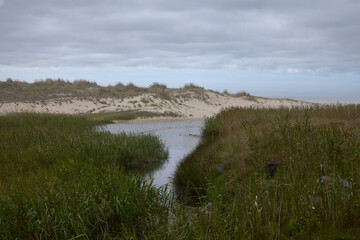 Fototapeta premium Laxe (Spain), August 20, 2022. Traba Beach. It is a protected area for the many migratory birds and for its dunes