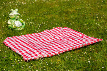 Red picnic blanket. Red checkered picnic cloth on a flowering meadow with daisy flowers. Beautiful...