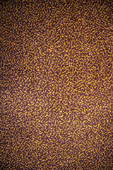 brown colored mottled carpet