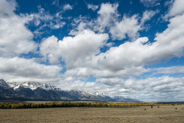 Scenic view of the Grand Teton National Park