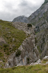 Ruta del Cares, Parque Nacional de los Picos de Europa, España