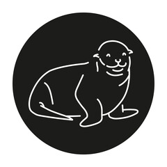 Seal color line illustration. Marine mammals.