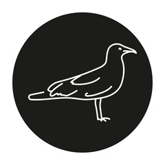 Gull color line illustration. Marine mammals.