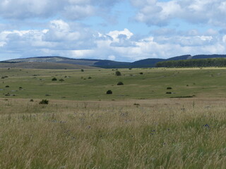 Causse du M&eacute;jean