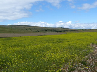 Causse du M&eacute;jean