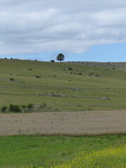Causse du M&eacute;jean
