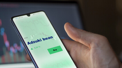 An investor's analyzing the adzuki bean etf fund on screen. A phone shows the ETF's prices to invest