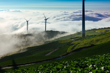 Wind turbine landscape among clouds spreading over mountains in an alpine local cabbage field...