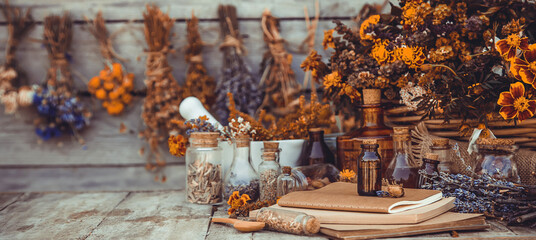 Medicinal herbs and tinctures homeopathy. Selective focus. - obrazy, fototapety, plakaty