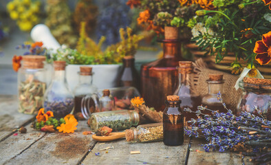 Medicinal herbs and tinctures homeopathy. Selective focus.