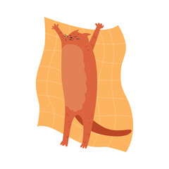 Cute and funny cat sleeping on his back on bedding, cartoon flat vector illustration isolated on white background.