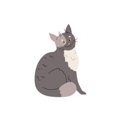 Funny gray cat sitting and looking back playfully, flat vector illustration isolated on white background.