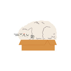 Imperturbable cat sleeping in cardboard box flat style