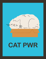 Poster with serious white cat sleeping in cardboard box flat style