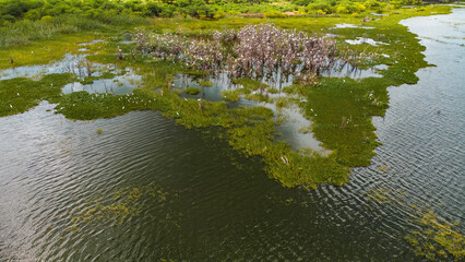 Sertão Caatinga Serra Talhada Pernambuco Triunfo Pernambucano Paisagem Cidade Igreja Lampião...
