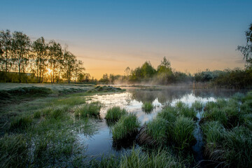 Fototapeta na wymiar Fog in the pond on a sunny morning. Grass on the pond at summer morning.