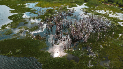 Sert&atilde;o Caatinga Serra Talhada Pernambuco Triunfo Pernambucano Paisagem Cidade Igreja Lampi&atilde;o Natureza Constru&ccedil;&atilde;o Xaxado Forr&oacute; PE Brazil Viagem Drone