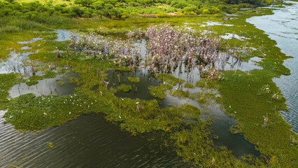 Sertão Caatinga Serra Talhada Pernambuco Triunfo Pernambucano Paisagem Cidade Igreja Lampião Natureza Construção Xaxado Forró PE Brazil Viagem Drone