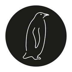 Penguin color line illustration. Marine mammals.