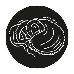 Argonaut color line illustration. Ocean fishes