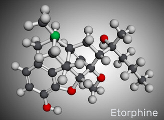 Etorphine, M99 molecule. It is morphinane alkaloid, opioid analgesic, sedative only for veterinary use. Molecular model. 3D rendering