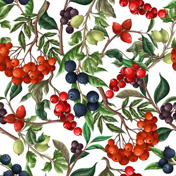 Seamless pattern with berries, such as rowan, blueberries and other. Vector.