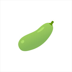green ripe zucchini vector illustration on a white isolated background. cartoon zucchini, fresh vegetables harvest