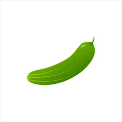 green ripe cucumber vector illustration on a white isolated background. cartoon pimpled cucumber, fresh vegetable harvest